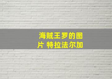 海贼王罗的图片 特拉法尔加